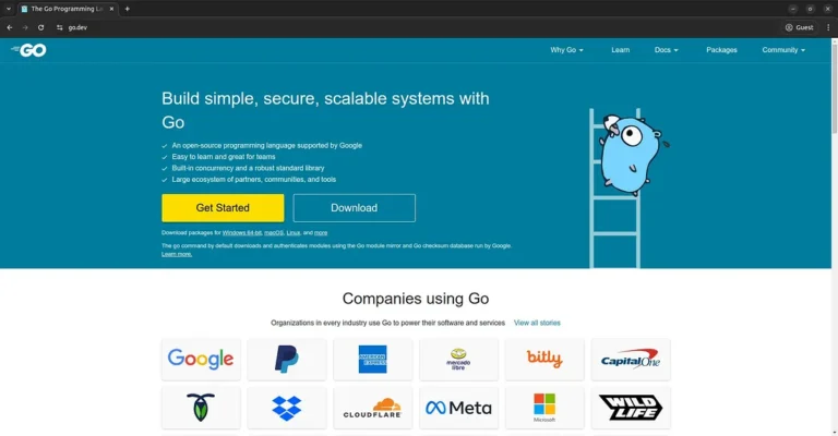How to Deploy Go Web Application on Ubuntu • Linux & Open Source